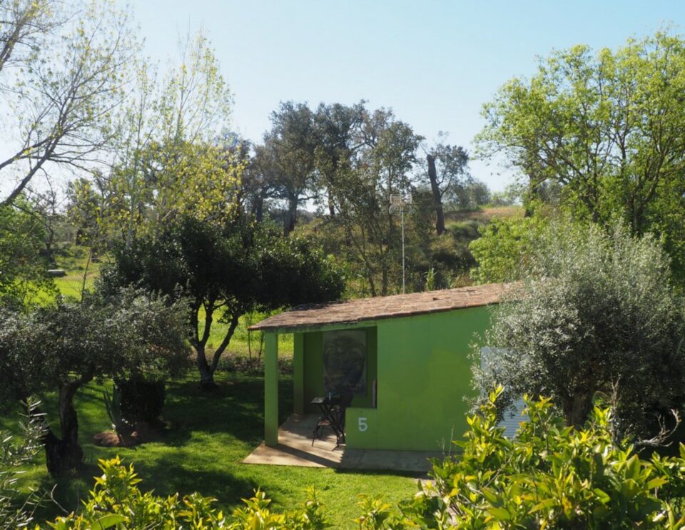 Ein helles, grünes, modernes Ferienhaus für 5 Personen inmitten von Olivenbäumen und üppigem Grün auf einem Hügel mit klarem, blauem Himmel.