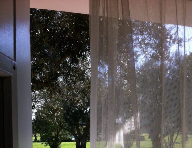 Blick durch eine offene Tür mit durchsichtigen Vorhängen auf einen sonnigen, grünen Rasen mit alten Bäumen.