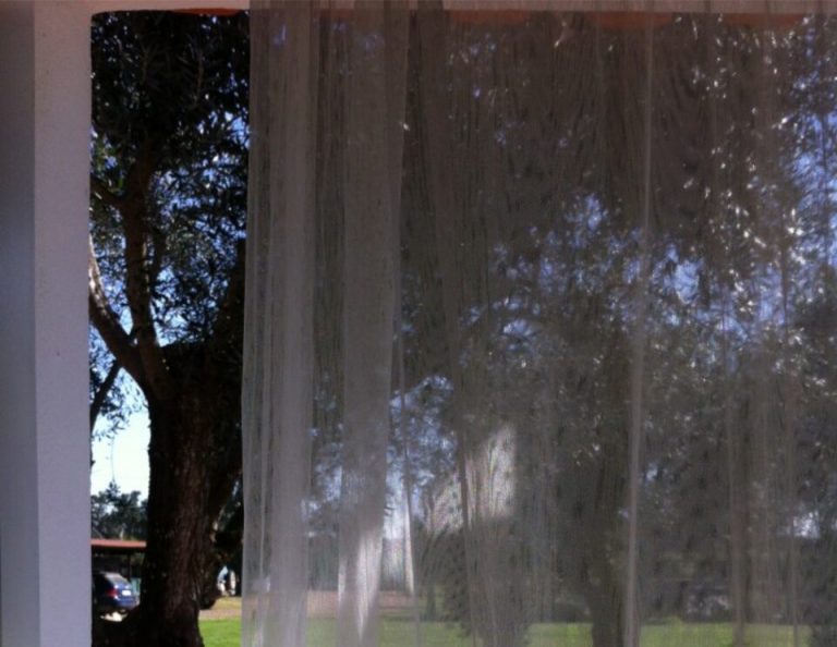 Blick durch weiße Vorhänge auf einen großen Baum und grünen Rasen vor einem Fenster.