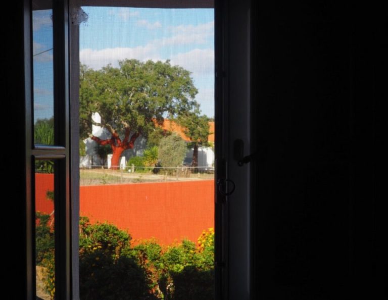 Blick durch eine offene Tür auf ein leuchtend rotes Mohnfeld mit grünen Bäumen und blauem Himmel dahinter, eingerahmt von dunklen Innenwänden und einer Topfpflanze auf der Fensterbank.