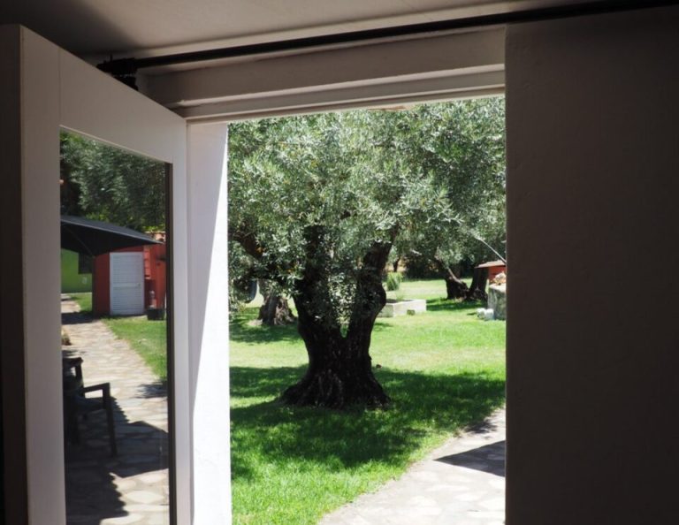 Blick durch ein offenes Tor auf einen sonnigen Garten mit alten Olivenbäumen, grünem Rasen und einem roten Nebengebäude im Hintergrund.