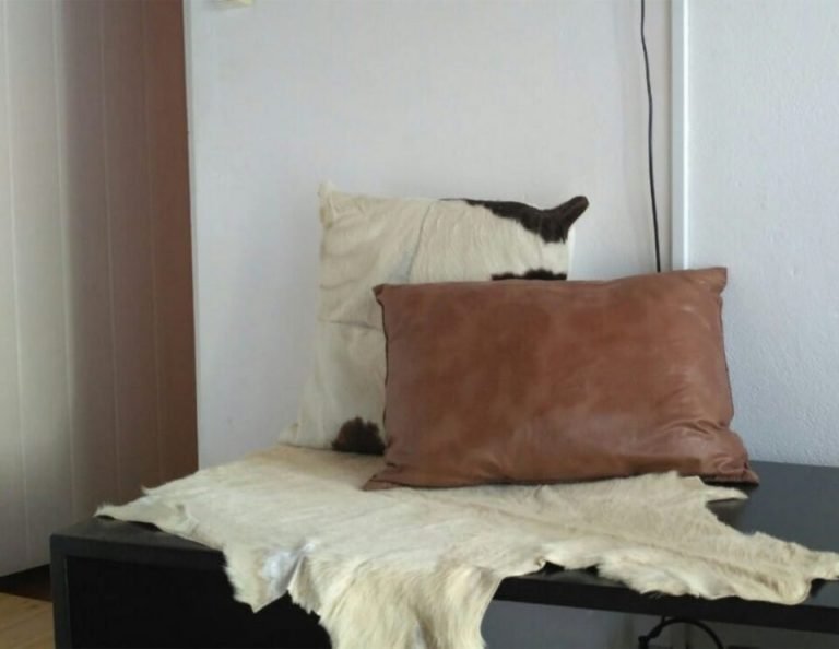 Eine schwarz-weiße Katze sitzt auf einem cremefarbenen Kissen hinter einem braunen Lederkissen auf einer dunklen Bank vor einer weißen Wand.