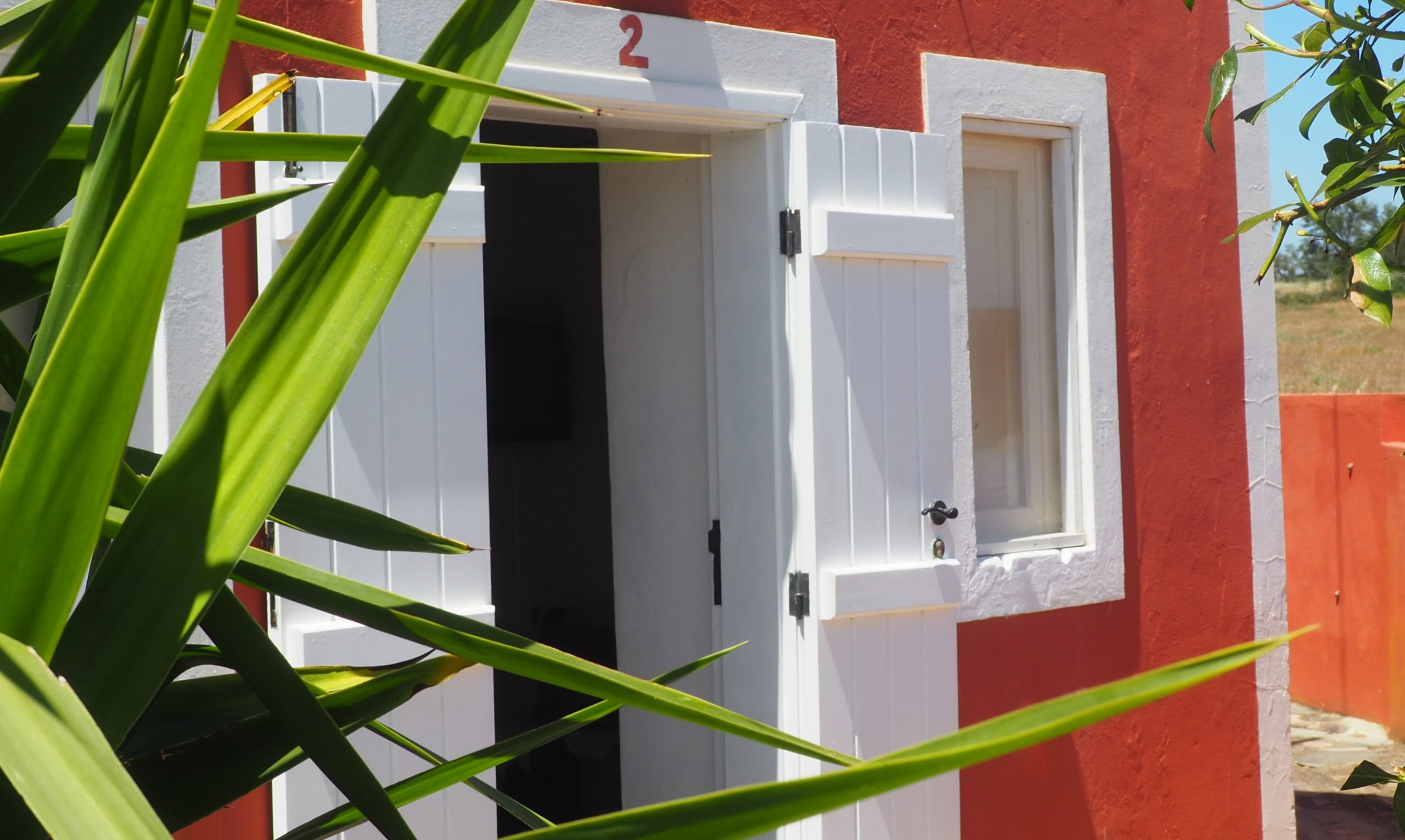 Exterior de la vivienda número 2, con una puerta y una ventana blancas sobre una pared de estuco de color rojo anaranjado, enmarcadas por hojas de palmera