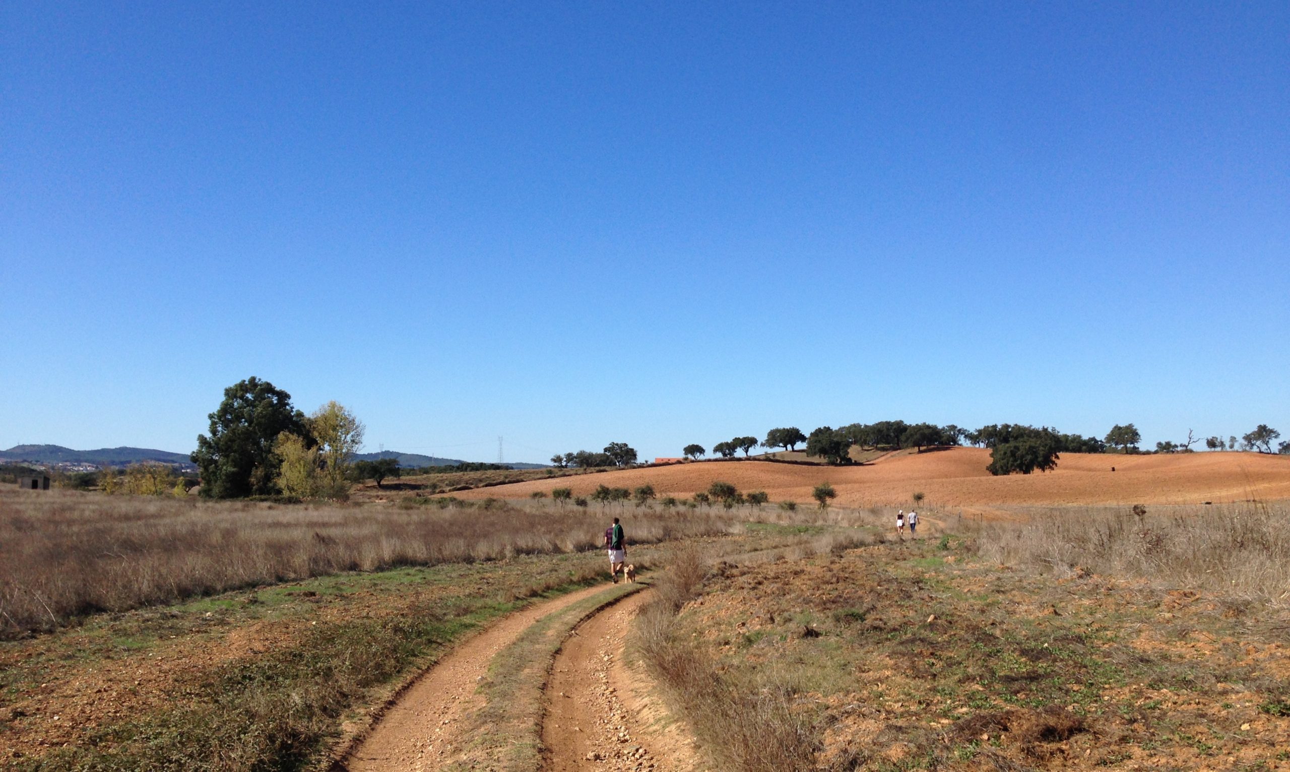 Unos excursionistas y un perro paseando por un sendero de tierra a través de un paisaje abierto y seco bajo un cielo azul y despejado