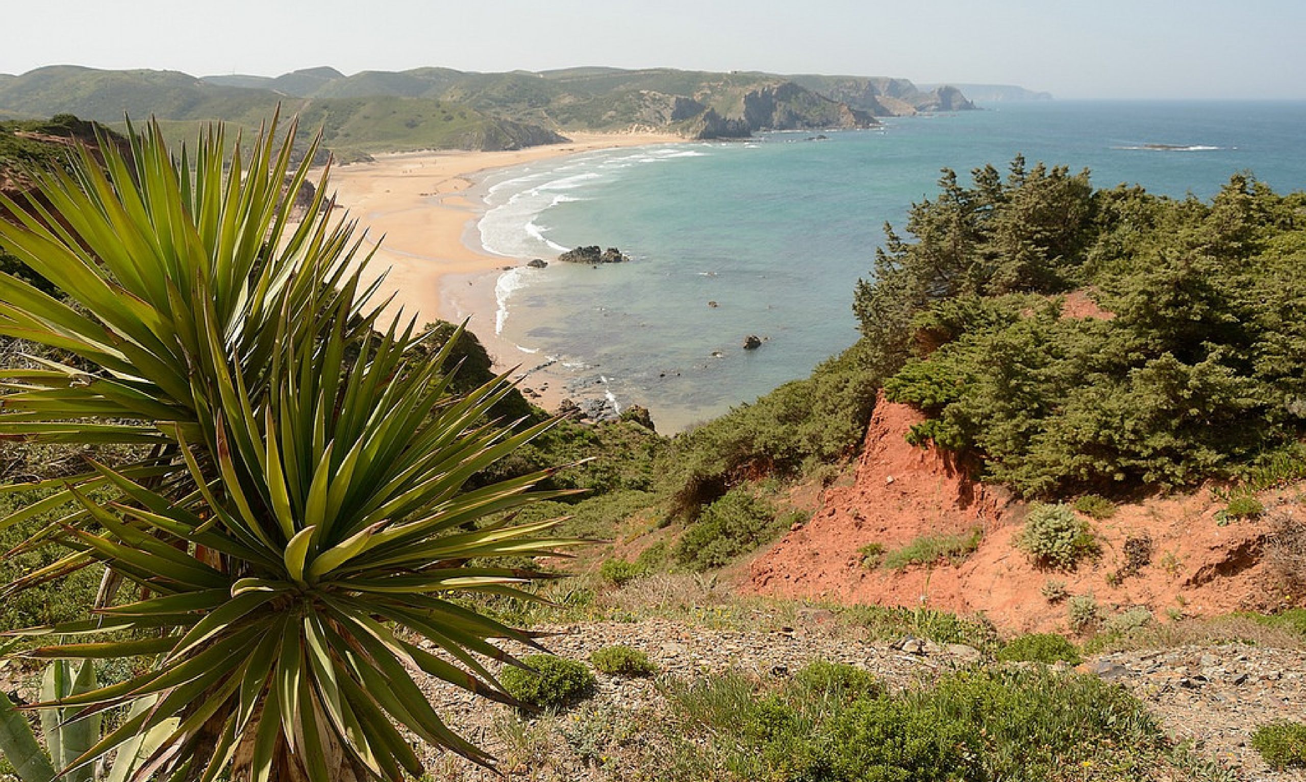 Vista panorámica desde lo alto de una amplia playa de arena con aguas turquesas, acantilados rojos, vegetación verde y una yuca en primer plano