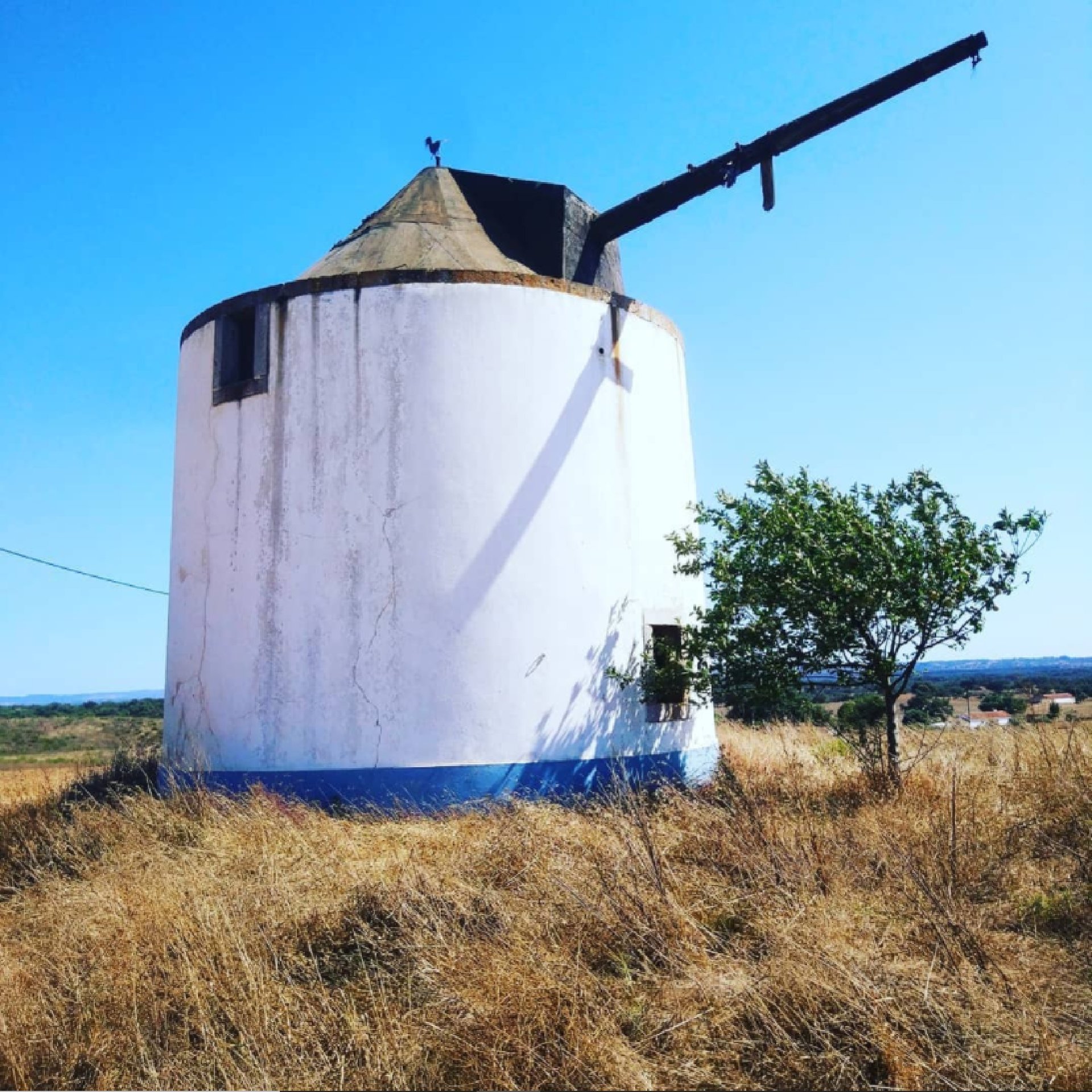 Un molino de viento tradicional blanco con un solo ala, situado entre la hierba seca y un pequeño árbol bajo un cielo azul y despejado