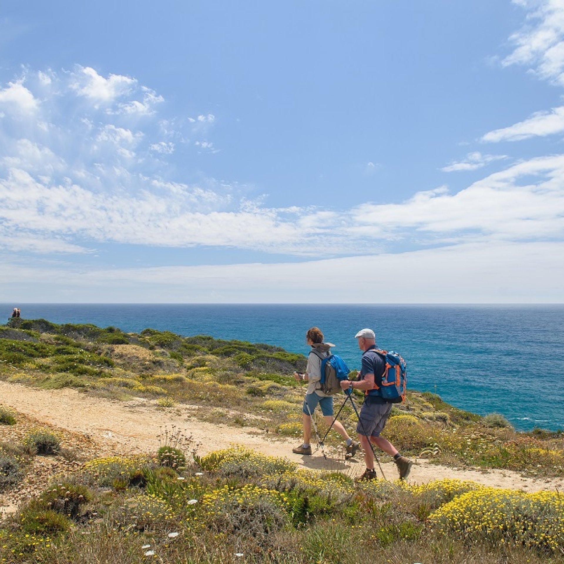 Dos excursionistas con mochilas y bastones de senderismo recorriendo un sendero costero salpicado de flores silvestres y con vistas al mar en un día soleado