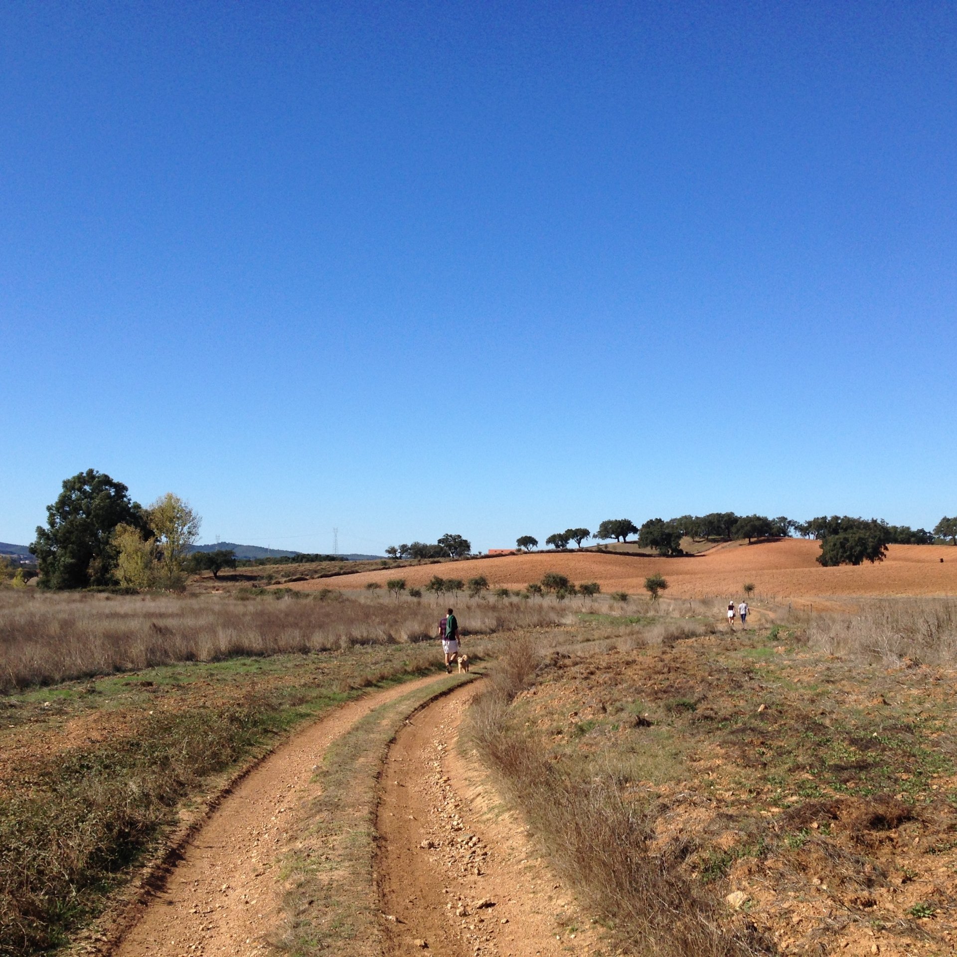 Unas personas y un perro paseando por un sendero de tierra a campo abierto bajo un cielo azul y despejado