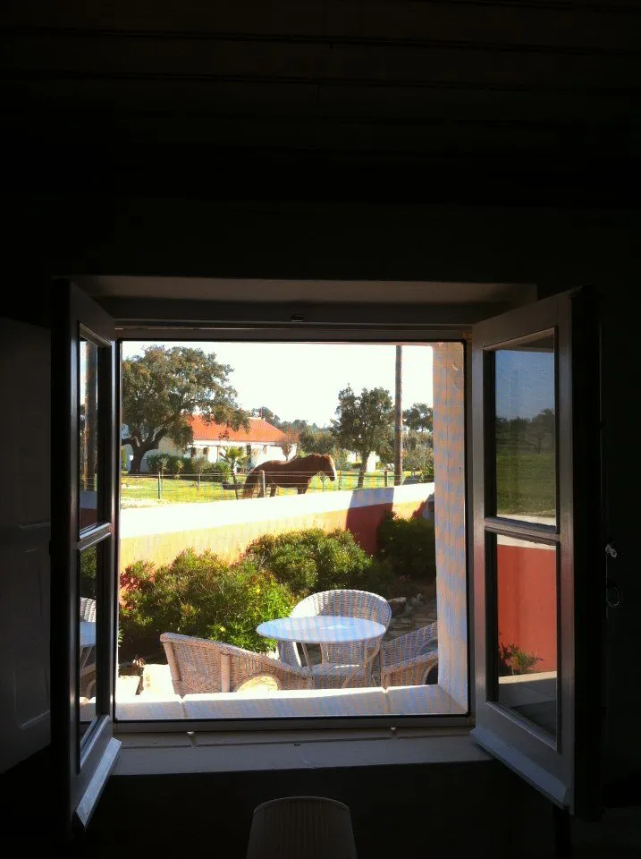 B&B-kamers